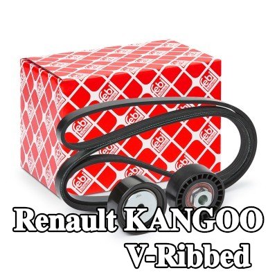 FEBI BILSTEIN مجموعة أحزمة V-Ribbed — 2000 Renault Kangoo