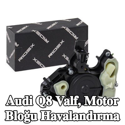 RIDEX Valf, motor bloğu havalandırma — Audi Q8