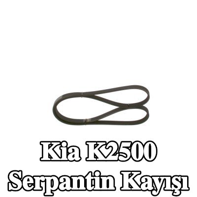 BOSCH Serpantin kayışı 1060mm, Number of ribs: 4 — 2003 Kia K2500