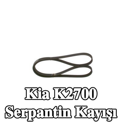 BOSCH Serpantin kayışı 1060mm, Number of ribs: 4 — 2002 Kia K2700