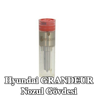 Wuzetem Nozul Gövdesi — Hyundai Grandeur