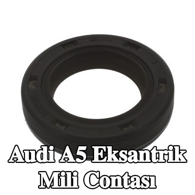 FEBI BILSTEIN Şanzıman tarafı eksantrik mili contası — Audi A5