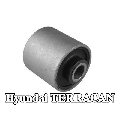 TEDGUM جلبة، تثبيت ذراع التحكم — Hyundai Terracan