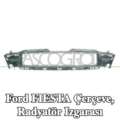 PRASCO Çerçeve, radyatör ızgarası — 2002 Ford Fiesta