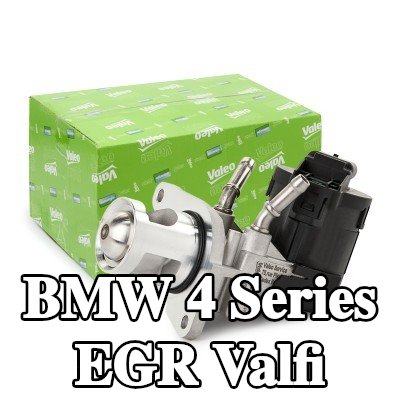 VALEO Contalı/sızdırmazlık elemanlı EGR valfi — 2016 BMW 4 Series