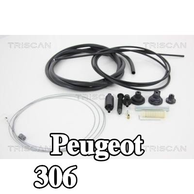 TRISCAN كابل الخانق — Peugeot 306