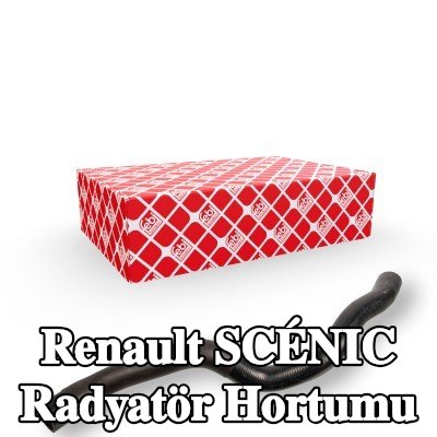 FEBI BILSTEIN Radyatör hortumu — 2012 Renault Scénic
