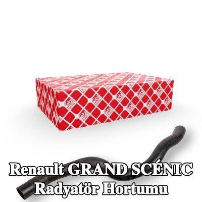 FEBI BILSTEIN Radyatör hortumu — 2012 Renault Grand Scénic