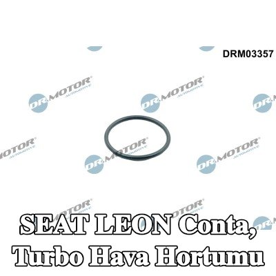 DR.MOTOR AUTOMOTIVE Conta, turbo hava hortumu — SEAT Leon