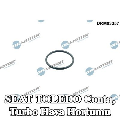 DR.MOTOR AUTOMOTIVE Conta, turbo hava hortumu — SEAT Toledo