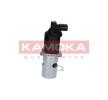 KAMOKA EGR valfi — Citroën C35 (4)