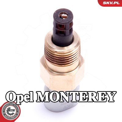 ESEN SKV مستشعر درجة حرارة هواء السحب — 1992 Opel Monterey