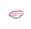 FAST Conta, termostat — Renault Duster (1)