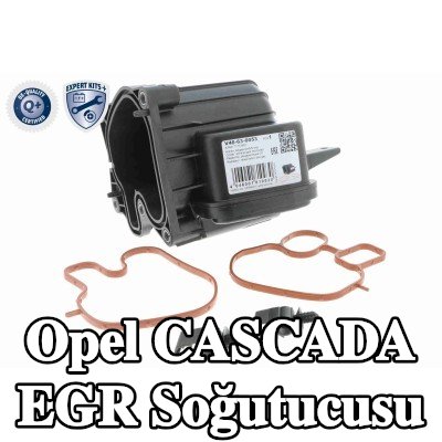 VEMO Contalar/sızdırmazlık elemanları ile EGR soğutucusu, EGR soğutucusuz, EGR valfi olmadan, Q+, orijinal ekipman üreticisi kalitesi — Opel Cascada