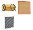 RIDEX PLUS Filtre kiti — Opel Cascada (1)