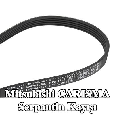 BOSCH Serpantin kayışı 1125mm, Number of ribs: 5 — Mitsubishi Carisma