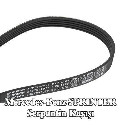 BOSCH Serpantin kayışı 1125mm, Number of ribs: 5 — 2012 Mercedes-Benz Sprinter