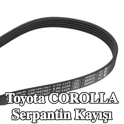 BOSCH Serpantin kayışı 1125mm, Number of ribs: 5 — 2000 Toyota Corolla