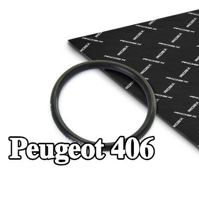 RIDEX حلقة مانعة للتسرب، حامل الفوهة — 1997 Peugeot 406