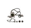 BOSCH Su pompası ve triger kayışı kiti Diş Sayısı: 117, Width: 22mm — Ford Puma (6)
