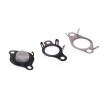 ELRING Conta seti, EGR sistemi — Renault Fluence (3)