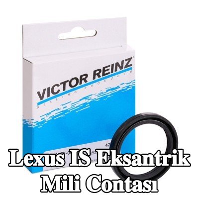 REINZ Eksantrik mili contası — Lexus Is