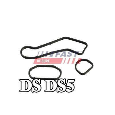 FAST مانع تسرب، مبرد الزيت — DS Ds5