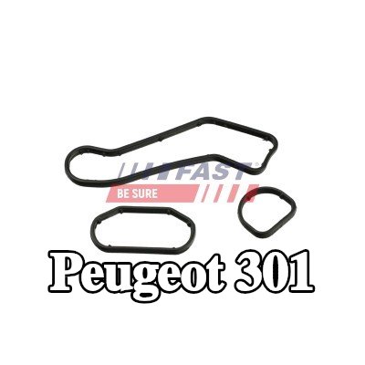 FAST مانع تسرب، مبرد الزيت — Peugeot 301