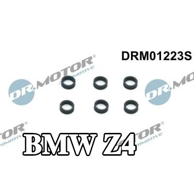 DR.MOTOR AUTOMOTIVE حلقة مانعة للتسرب، حامل الفوهة — BMW Z4