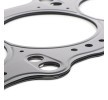 REINZ Kafa contası 1, 25mm — Toyota Supra (4)