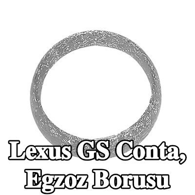 WALKER Conta, egzoz borusu Merkez, Ön, Arka — 2011 Lexus Gs