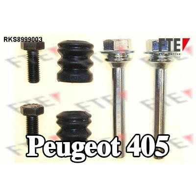 FTE جلبة توجيه، مكبس الفرامل — Peugeot 405