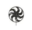 MAHLE Fan, radyatör 312mm, radyatör fanı kapağı olmadan — Mercedes-Benz Viano (3)