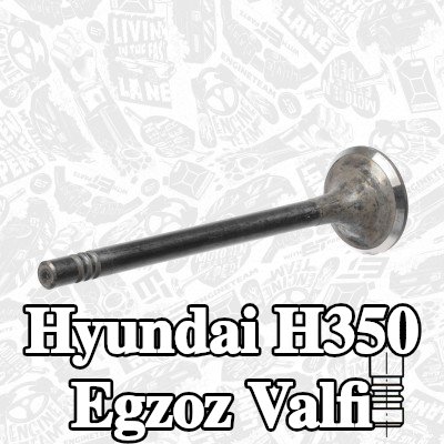 ET ENGINETEAM Egzoz valfi, egzoz tarafı, İç kısmı siyah gövde — Hyundai H350