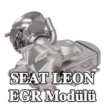 FEBI BILSTEIN Contalı/sızdırmazlık elemanlı EGR Modülü — SEAT Leon