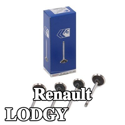 AE صمام العادم طرف ساق الصمام المقوى — Renault Lodgy