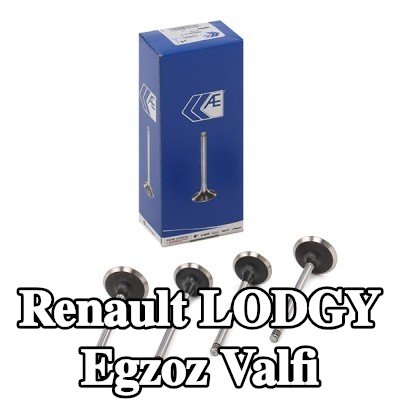 AE Egzoz valfi Sertleştirilmiş valf sapı ucu — Renault Lodgy