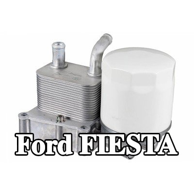 METZGER غلاف فلتر الزيت — 2000 Ford Fiesta
