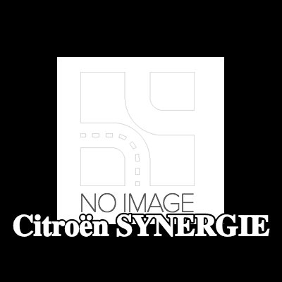 SNR محمل ناقل الحركة اليدوي — Citroën Synergie