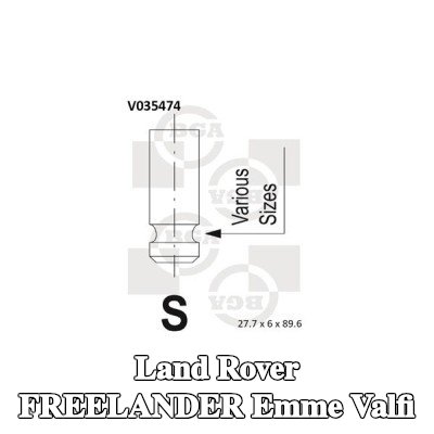 BGA Emme valfi — 2000 Land Rover Freelander