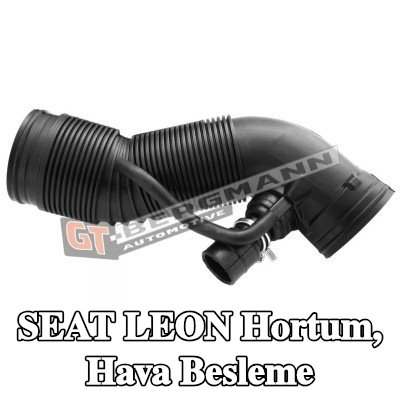GT-BERGMANN Hortum, hava besleme Hava Filtresi Muhafazası — 2002 SEAT Leon