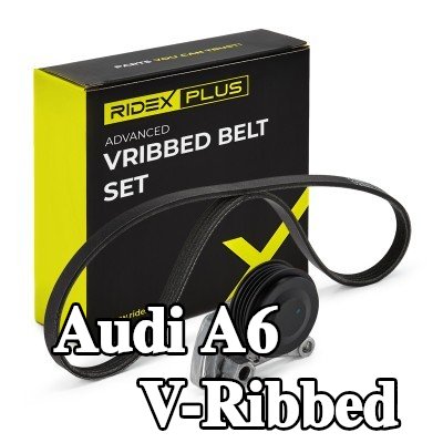 RIDEX PLUS مجموعة أحزمة V-Ribbed — 1995 Audi A6