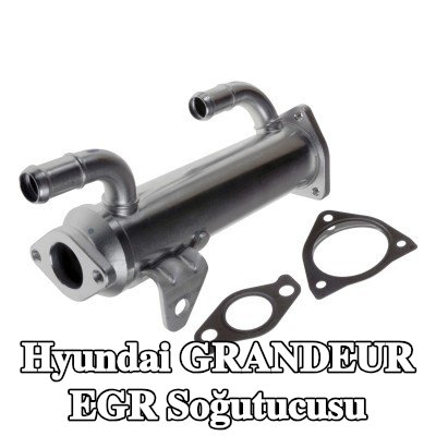 FEBI BILSTEIN Contalar/sızdırmazlık elemanları ile EGR soğutucusu — Hyundai Grandeur