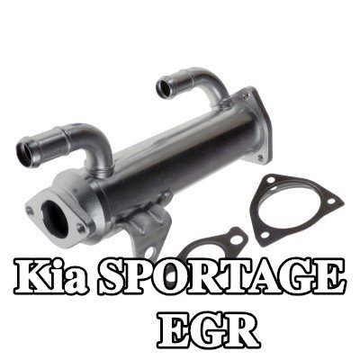FEBI BILSTEIN مبرد EGR مع حشيات/أختام — 2004 Kia Sportage