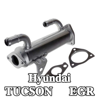 FEBI BILSTEIN مبرد EGR مع حشيات/أختام — 2004 Hyundai Tucson