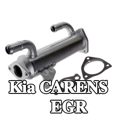 FEBI BILSTEIN مبرد EGR مع حشيات/أختام — 2012 Kia Carens
