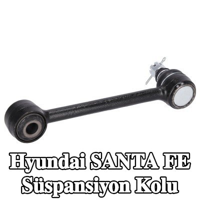 FEBI BILSTEIN Ön süspansiyon kolu, Arka Aks Sol, Arka Aks Sağ, Üst, Çelik — 2016 Hyundai Santa Fe