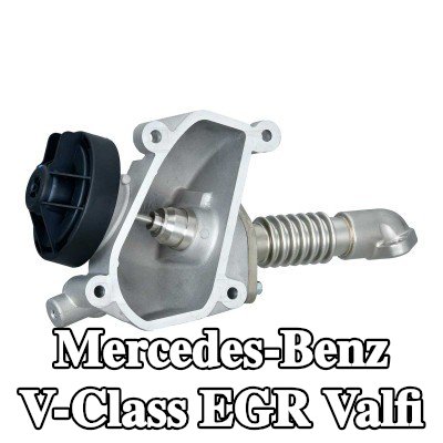 HELLA Contalı/sızdırmazlık elemanlı EGR valfi — 2000 Mercedes-Benz V-Class