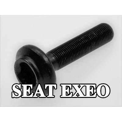 SPIDAN برغي المحور، عمود الإدارة — SEAT Exeo