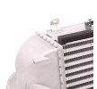 RIDEX Intercooler — Hyundai Santa Fe (4)